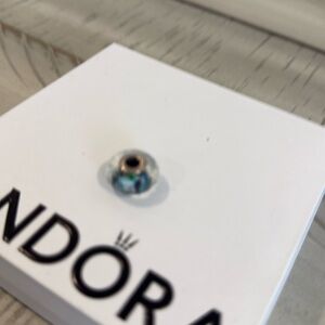 Pandora large bead